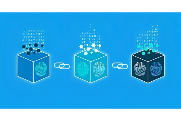 Quy trình phát triển Blockchain Quy trình phát triển Blockchain