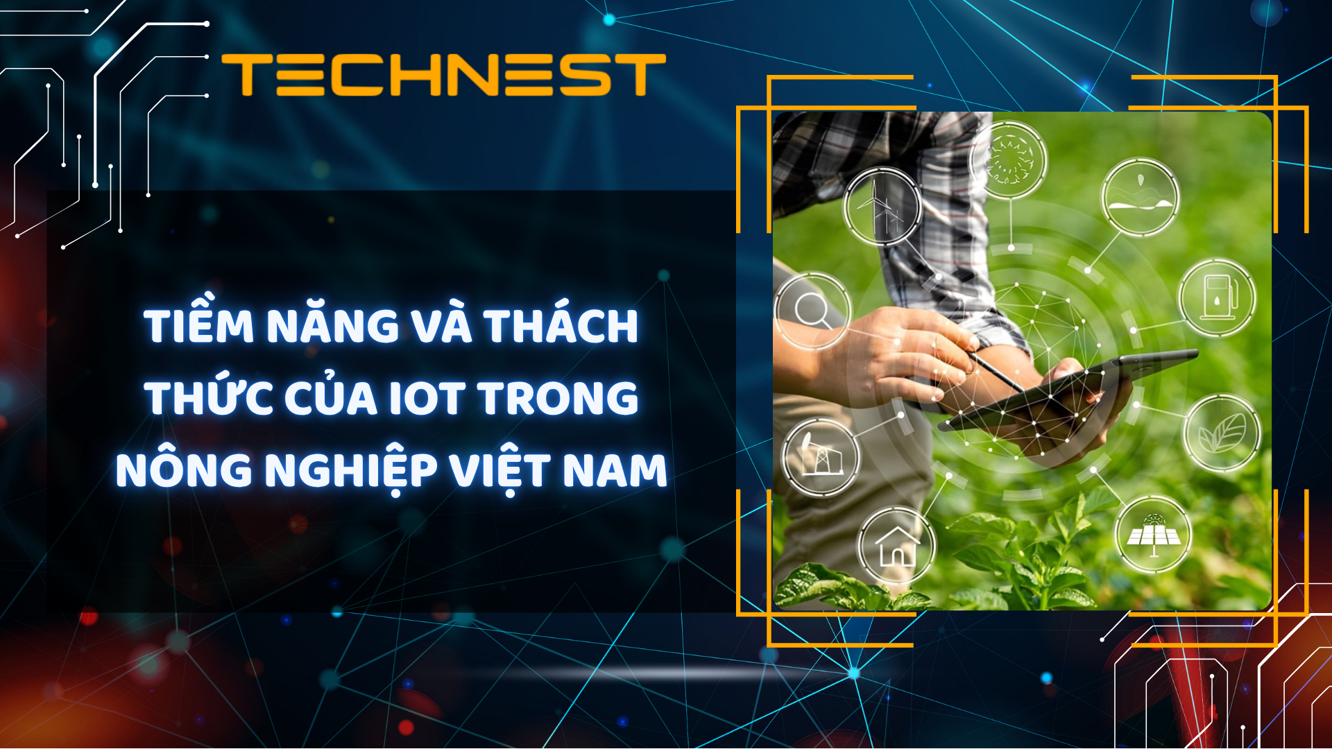 Tiềm năng và thách thức của IoT trong nông nghiệp Việt Nam