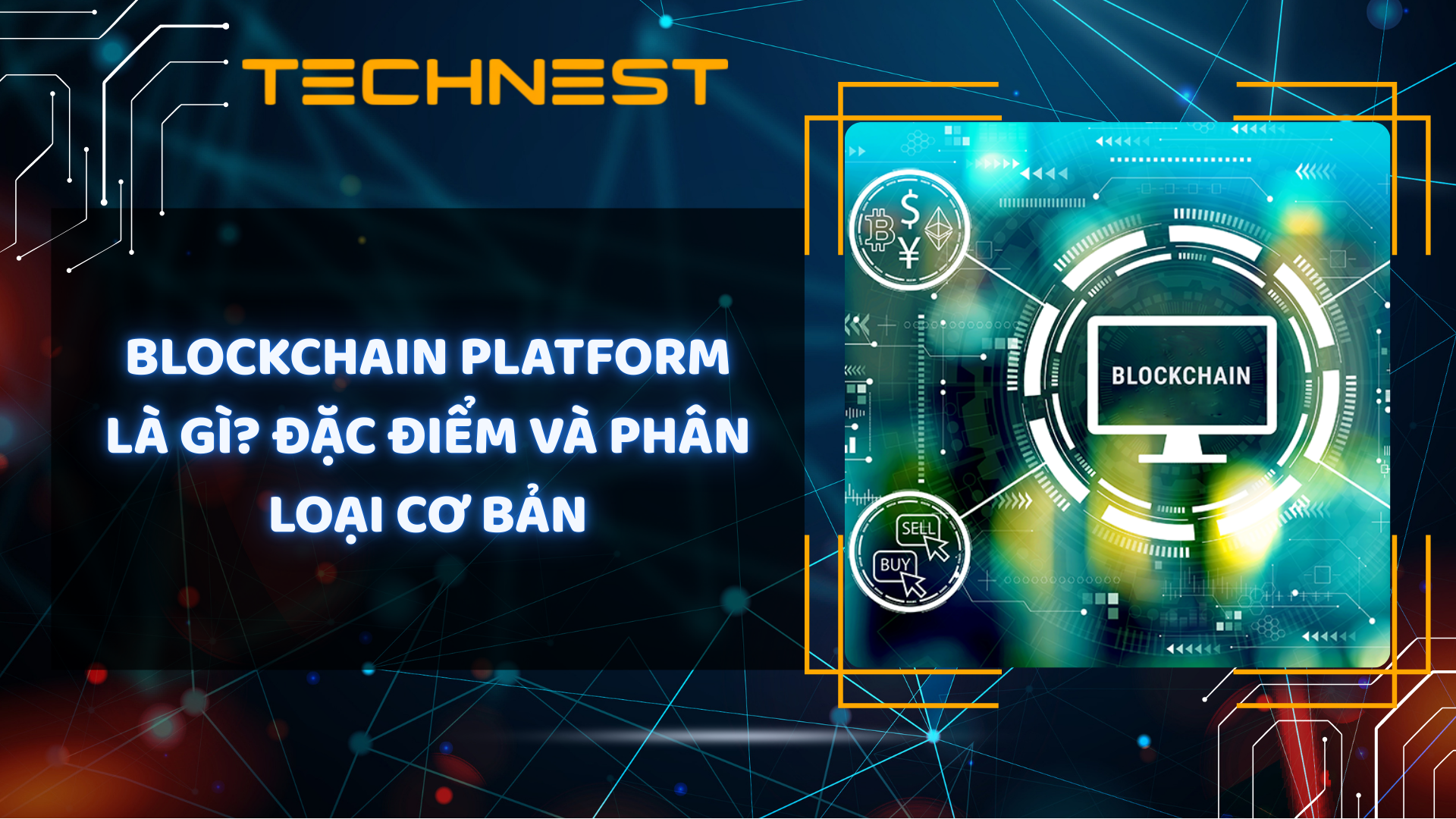 Blockchain platform là gì? Đặc điểm và phân loại cơ bản