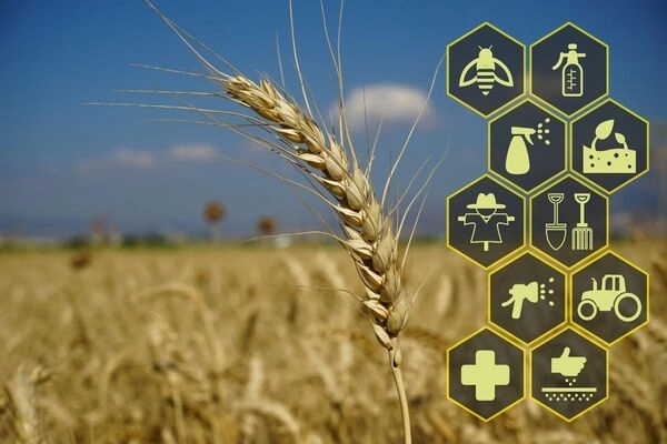 What is Blockchain in Agriculture? What is Blockchain in Agriculture?