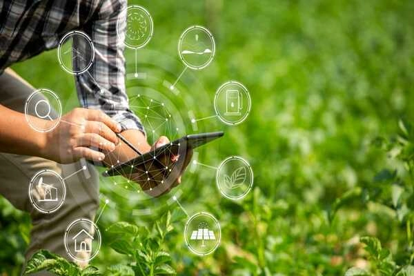 The Future of Blockchain in Agriculture The Future of Blockchain in Agriculture