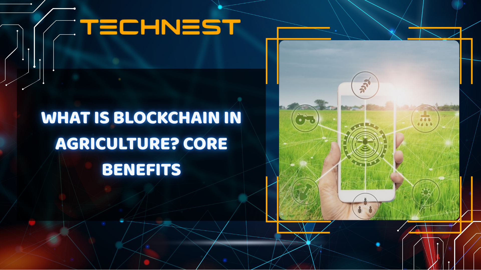 What is Blockchain in agriculture? Core benefits
