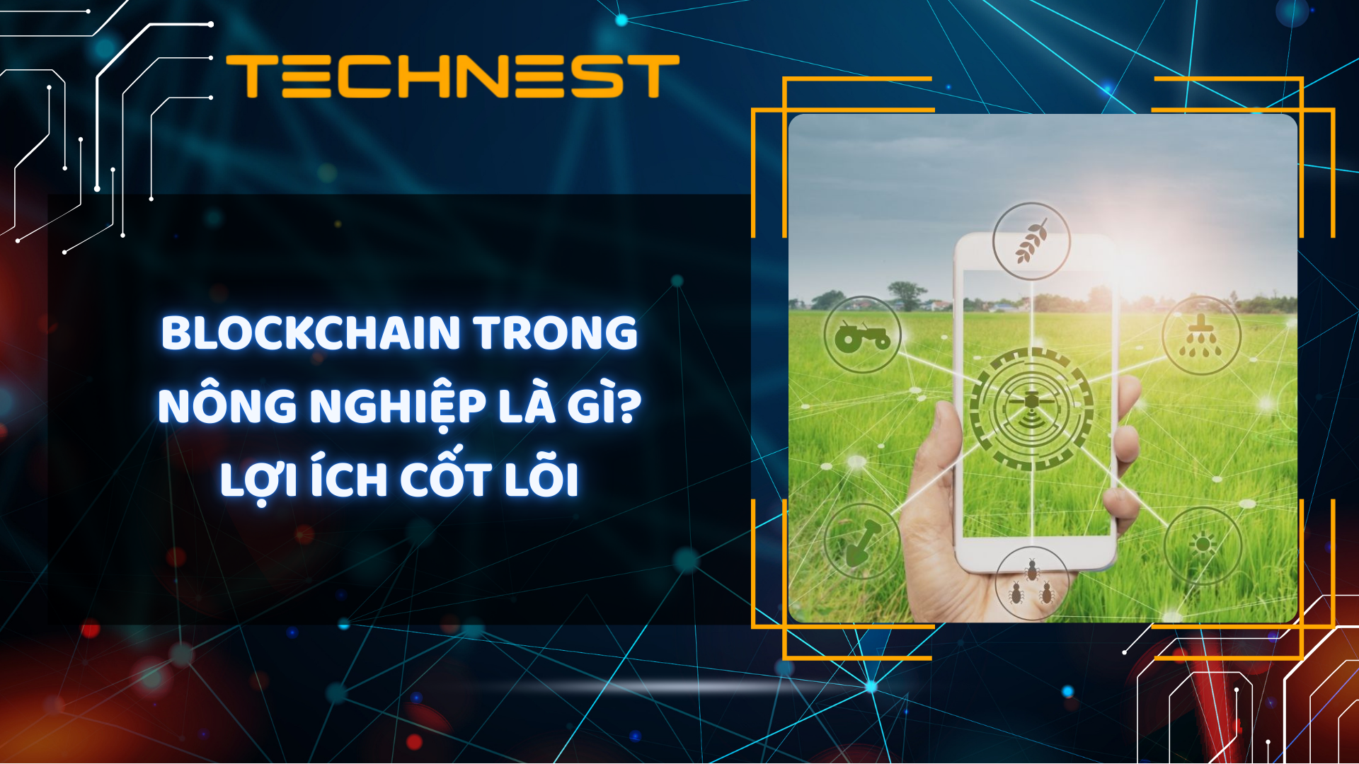 Blockchain trong nông nghiệp là gì? Lợi ích cốt lõi