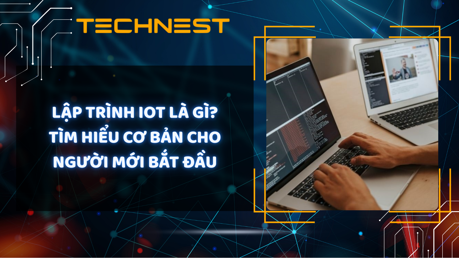 Lập trình IoT là gì? Tìm hiểu cơ bản cho người mới bắt đầu