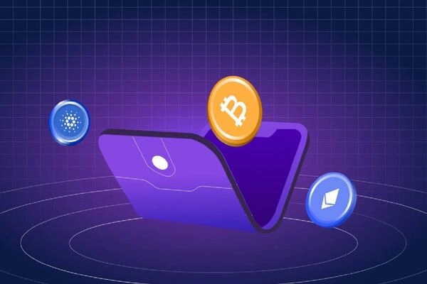 Pros and Cons of Blockchain Wallets Pros and Cons of Blockchain Wallets