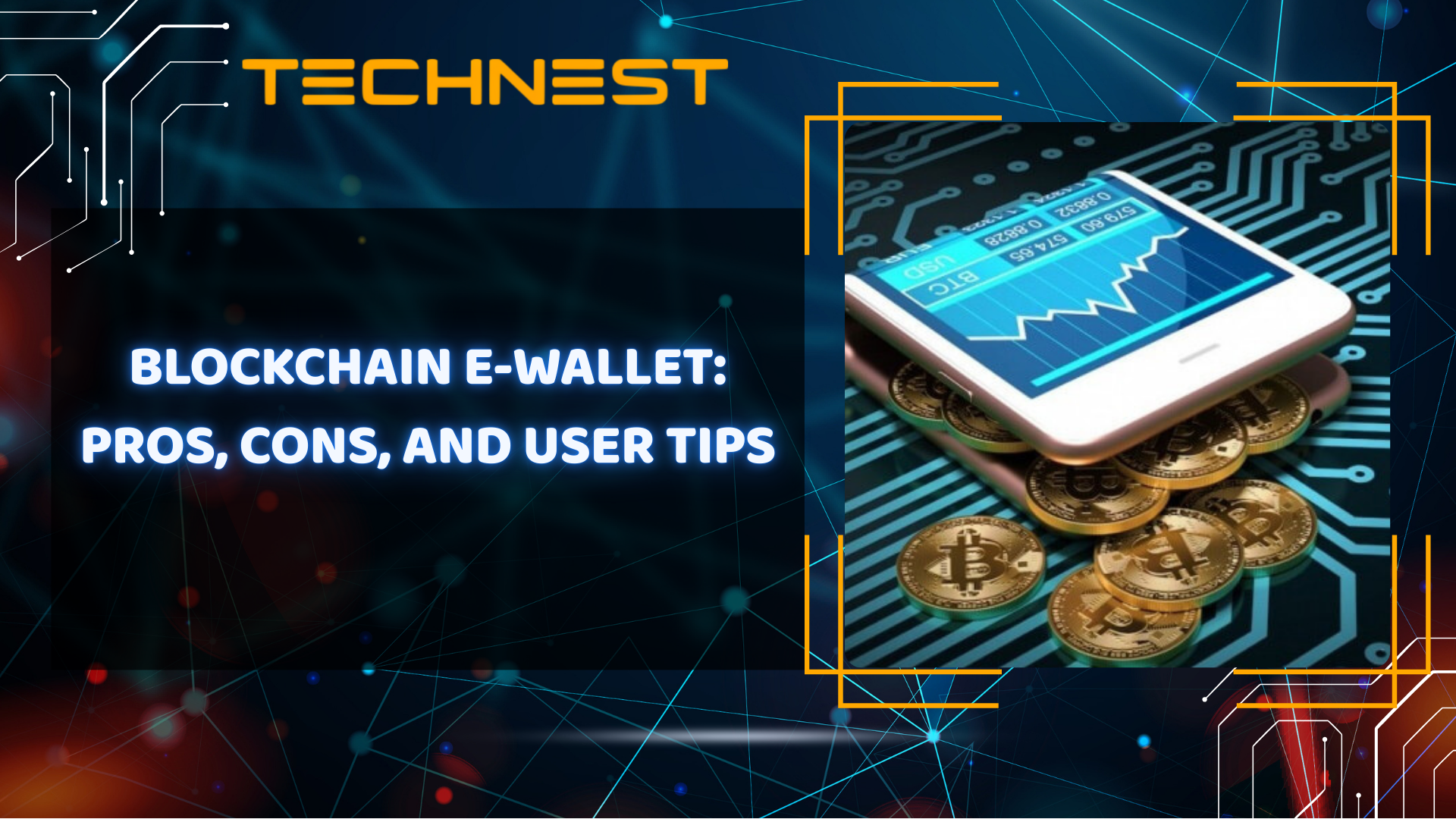 Blockchain e-wallet: Pros, cons, and user tips