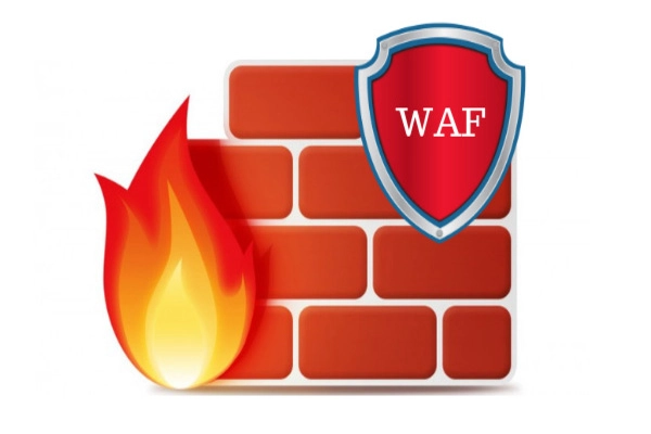 Using a Web Application Firewall (WAF)