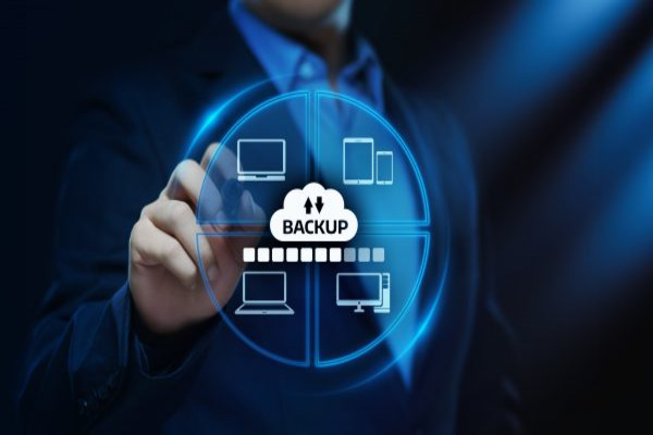 Data Backup and Recovery Process Data Backup and Recovery Process