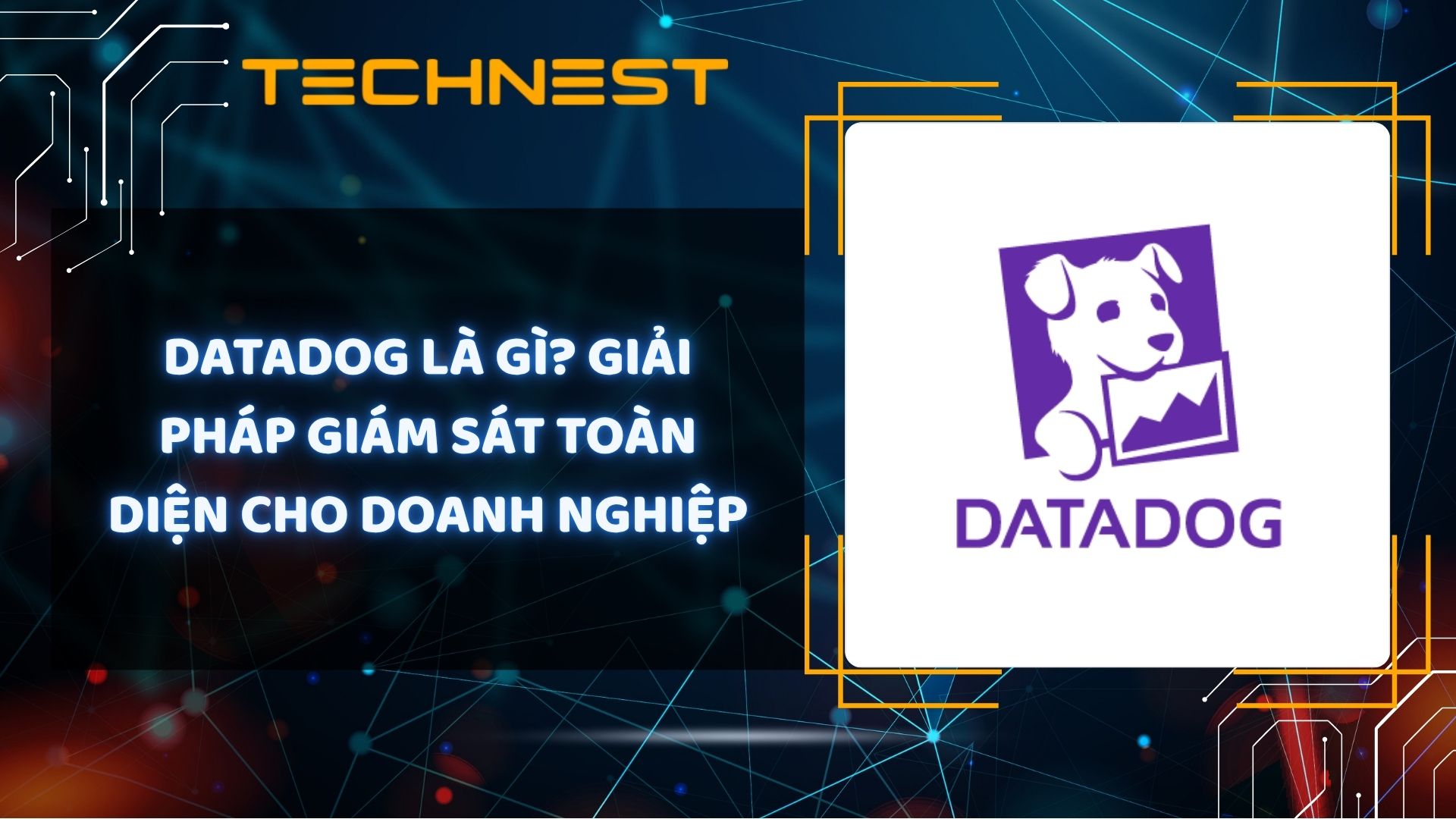 Datadog là gì? Giải pháp giám sát toàn diện cho doanh nghiệp